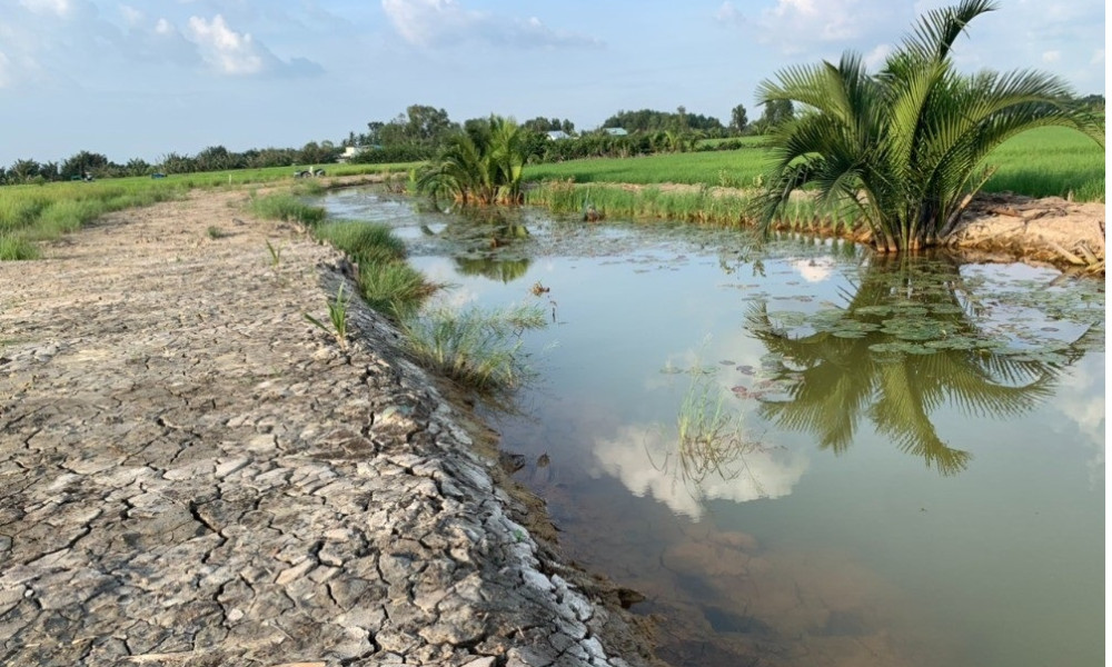 ĐẤT VƯỜN PHƯỚC KHÁNH CÓ SẴN AO CÁ, XE HƠI TỚI ĐÂT GIÁ CỰC TỐT CỦA DÂN ĐIA PHƯƠNG